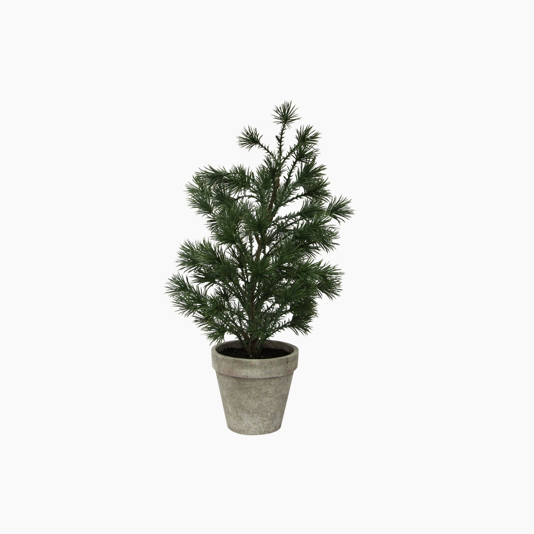 Table Pine Tree Small - Pure Apotheca
