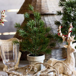 Table Pine Tree X - Small - Pure Apotheca
