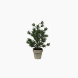 Table Pine Tree X - Small - Pure Apotheca