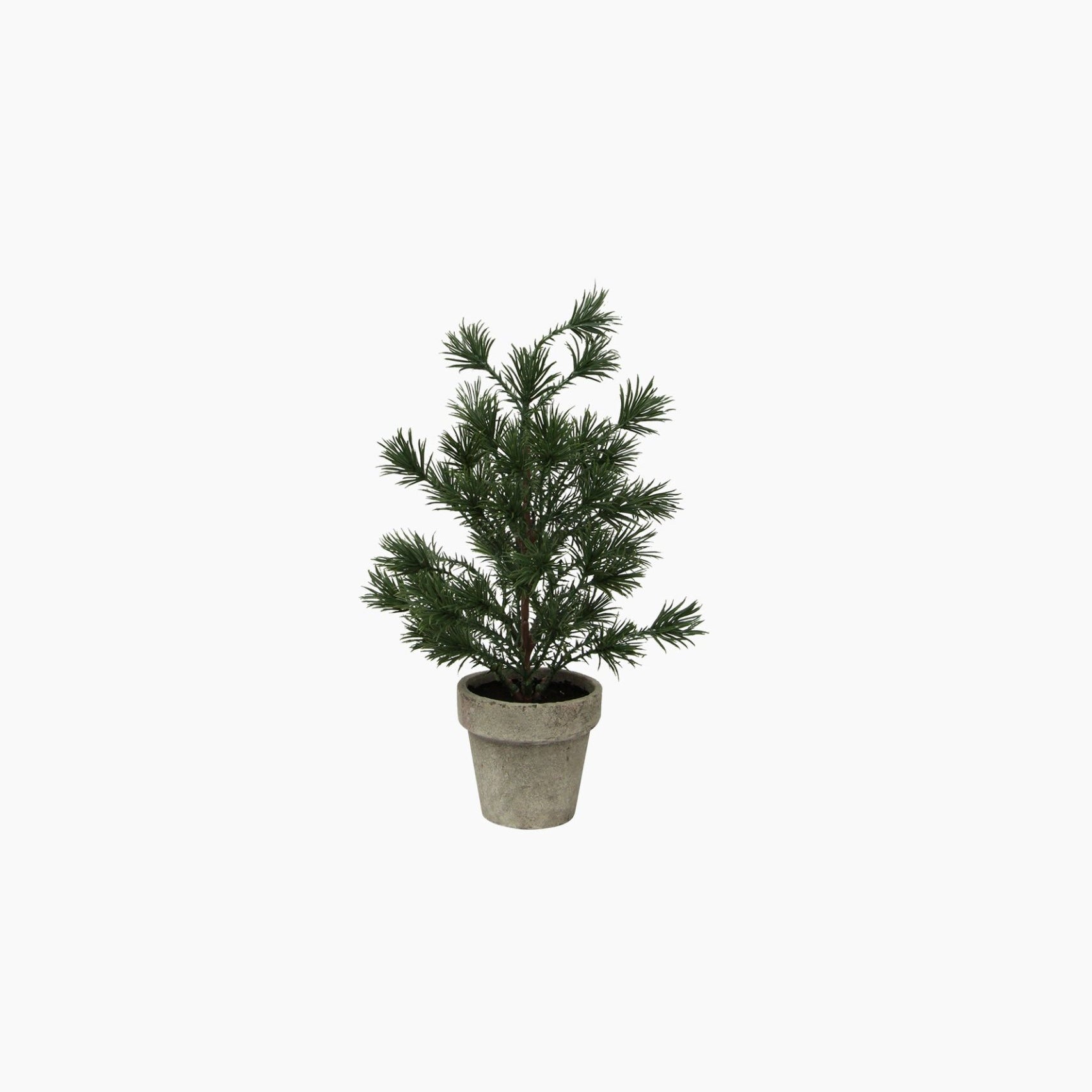 Table Pine Tree X - Small - Pure Apotheca