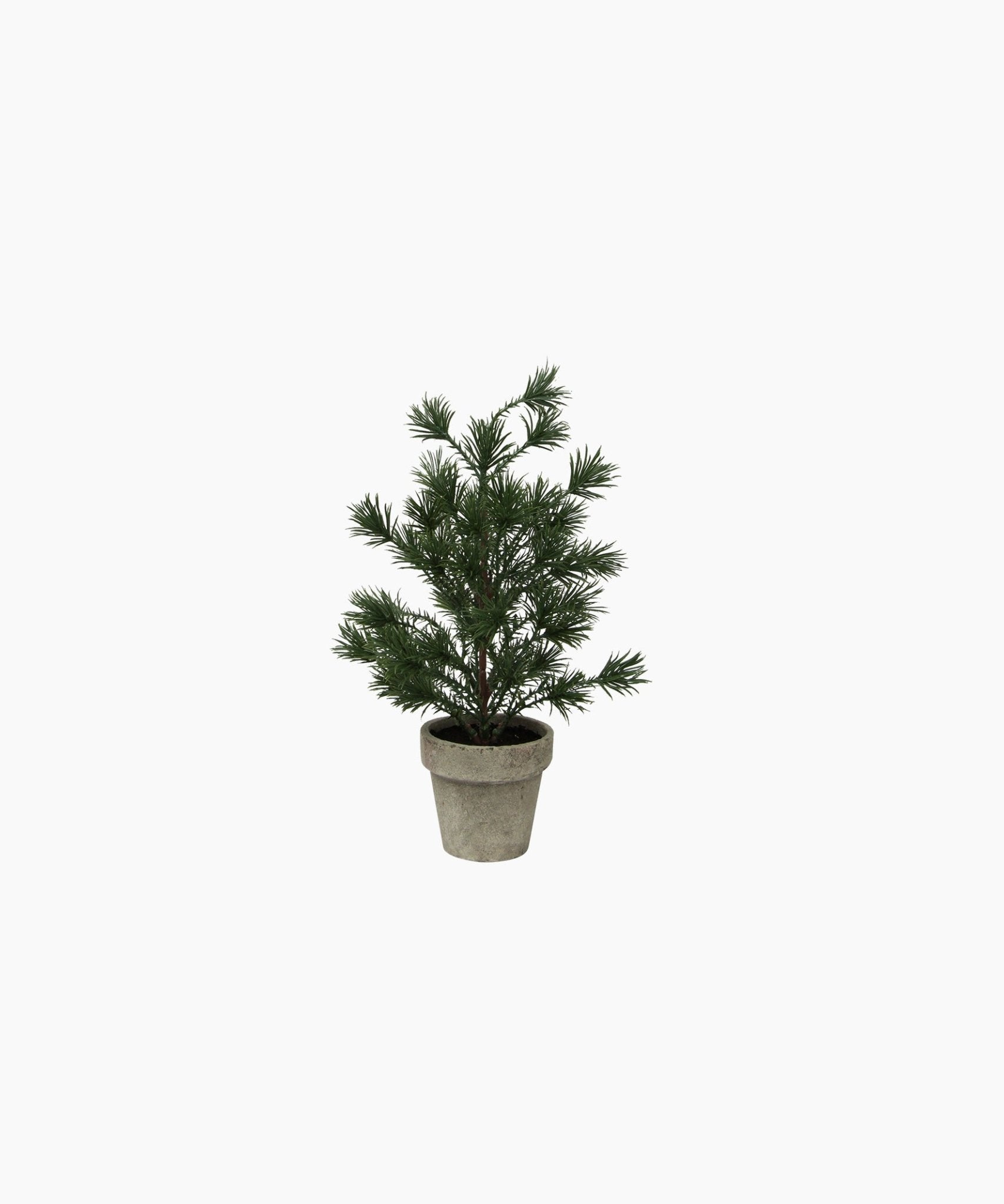 Table Pine Tree X - Small - Pure Apotheca