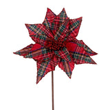 TARTAN POINSETTIA - Pure Apotheca