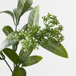Tea Spray Green 63cm - Pure Apotheca