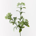 Tea Spray Green 63cm - Pure Apotheca