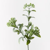 Tea Spray Green 63cm - Pure Apotheca