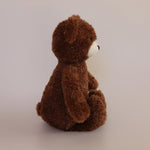 Teddy Bear Storybook Soft Toy - Pure Apotheca