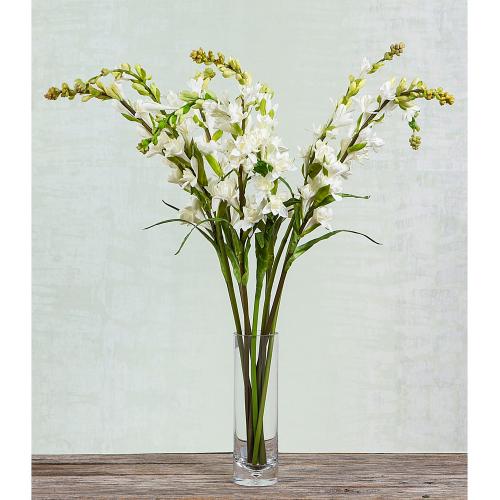 Tuberose Cream 76cm - Pure Apotheca