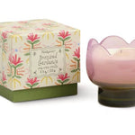 Tulip Candle - Bronzed Gardenia 155g - Pure Apotheca