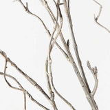 Twig Curly Willow Spray Grey Wash 144cm - Pure Apotheca