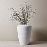 Twig Curly Willow Spray Grey Wash 144cm - Pure Apotheca