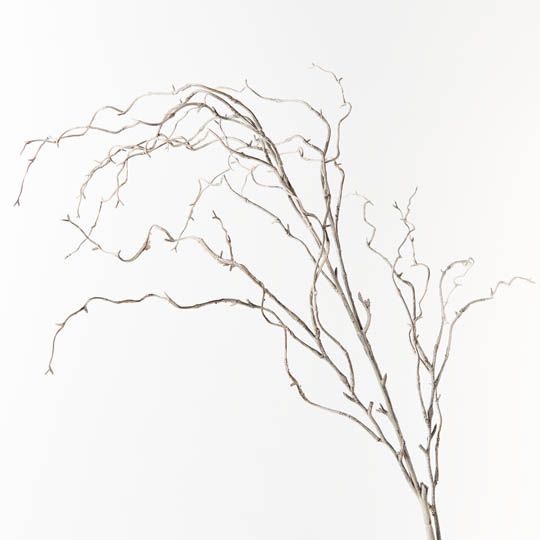 Twig Curly Willow Spray Grey Wash 144cm - Pure Apotheca