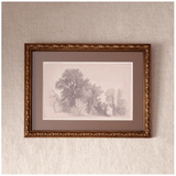 Vintage Glade Sketch Wall Art - Pure Apotheca