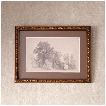 Vintage Glade Sketch Wall Art - Pure Apotheca