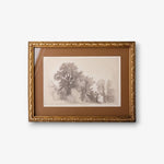 Vintage Glade Sketch Wall Art - Pure Apotheca