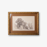 Vintage Glade Sketch Wall Art - Pure Apotheca