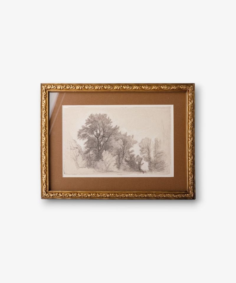 Vintage Glade Sketch Wall Art - Pure Apotheca