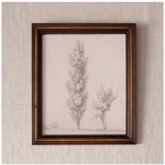 Vintage Poplar Tree Sketch Wall Art - Pure Apotheca