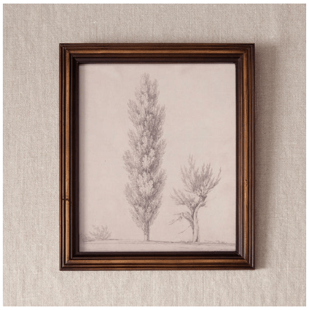 Vintage Poplar Tree Sketch Wall Art - Pure Apotheca