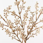Wattle Spray Natural 69cm - Pure Apotheca