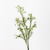 Wax Flower Spray White 66cm - Pure Apotheca