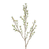 Wax Flower White 79cm - Pure Apotheca