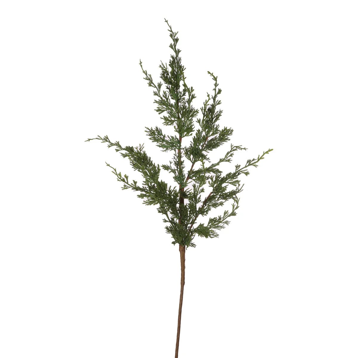 WILD CONIFER PICK - Pure Apotheca