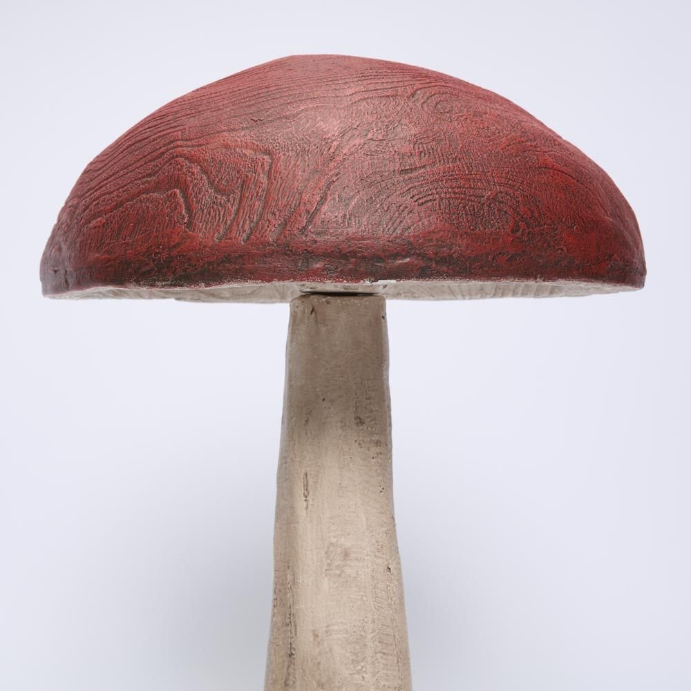 Woodland Mushroom Medium - Pure Apotheca