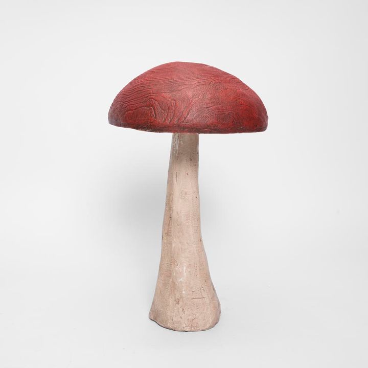 Woodland Mushroom Medium - Pure Apotheca