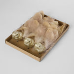Zaza Clip on Bird Set of 3 Gold - Pure Apotheca
