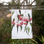 Australian Native Tea Towels - Gungurru Eucalpytus - Pure Apotheca