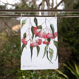 Australian Native Tea Towels - Gungurru Eucalpytus - Pure Apotheca