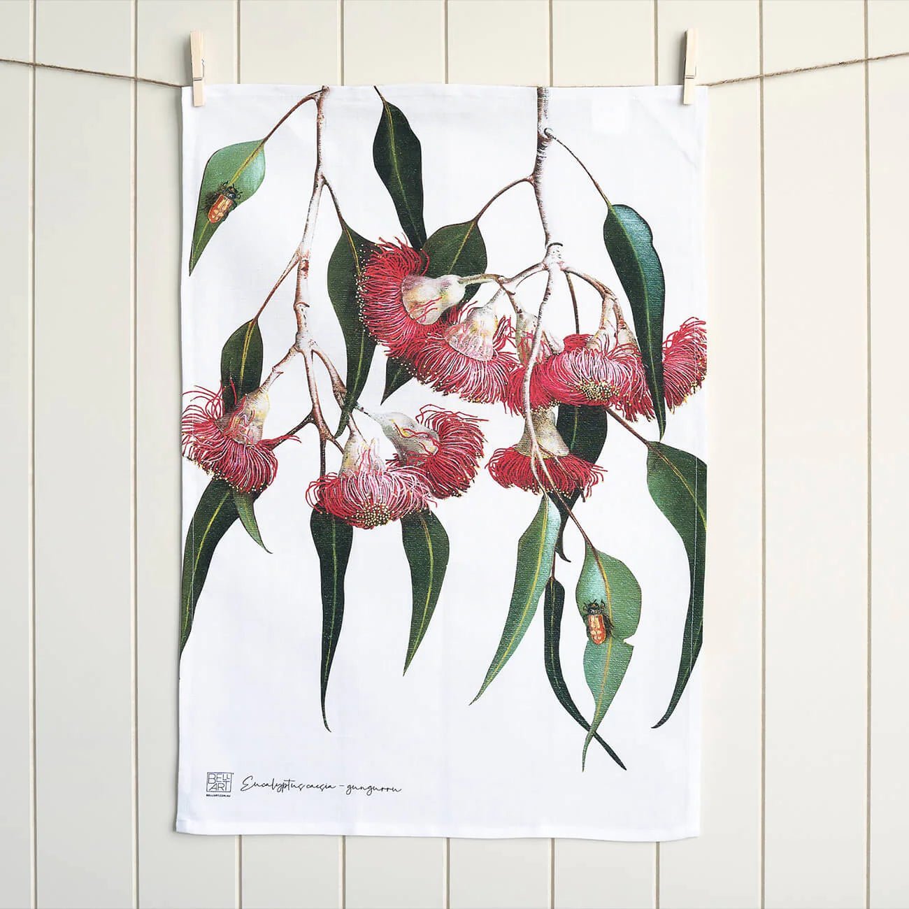 Australian Native Tea Towels - Gungurru Eucalpytus - Pure Apotheca