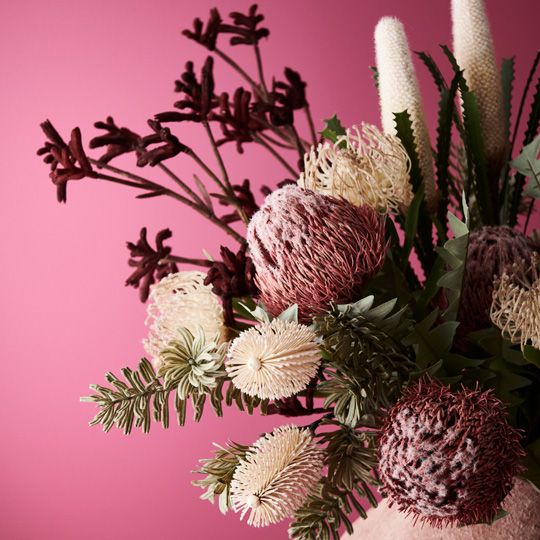 Banksia Acorn Pink 69cm - Pure Apotheca