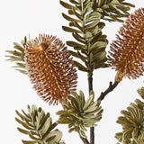 Banksia Spray Coffee 66cm - Pure Apotheca