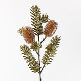 Banksia Spray Coffee 66cm - Pure Apotheca