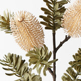 Banksia Spray Cream 66cm - Pure Apotheca