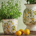 Botanical Lemon Pot - Pure Apotheca