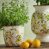 Botanical Lemon Pot - Pure Apotheca
