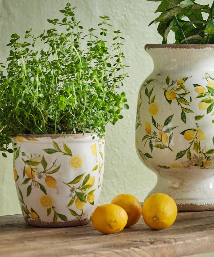 Botanical Lemon Pot - Pure Apotheca