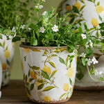 Botanical Lemon Pot - Pure Apotheca