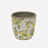 Botanical Lemon Pot - Pure Apotheca