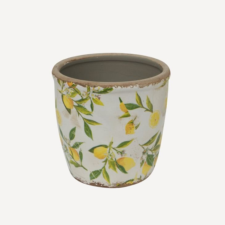 Botanical Lemon Pot - Pure Apotheca