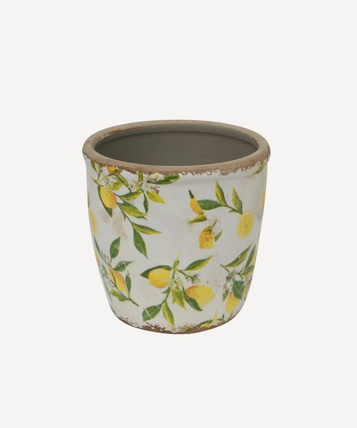 Botanical Lemon Pot - Pure Apotheca