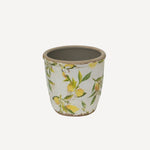 Botanical Lemon Pot - Pure Apotheca