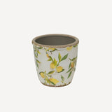 Botanical Lemon Pot - Pure Apotheca