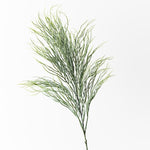 Coral Grass Spray Grey Green 77cm - Pure Apotheca