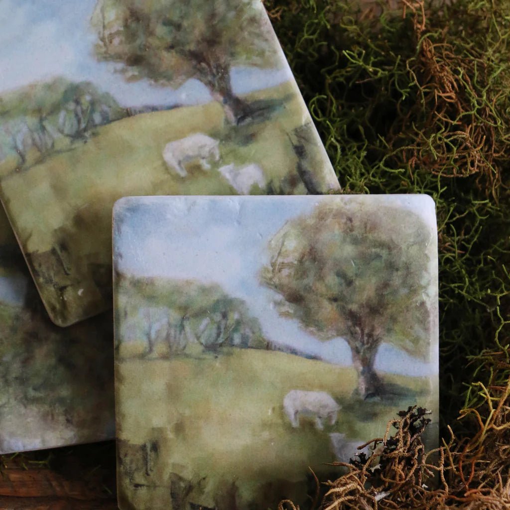 Cornwall Park Coaster Set of 4 - Pure Apotheca