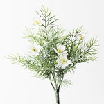 Cosmos Bush White 30cm - Pure Apotheca