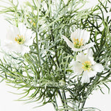 Cosmos Bush White 30cm - Pure Apotheca