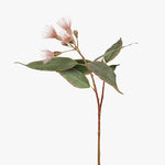 Eucalyptus Flowering Pink 53cm - Pure Apotheca